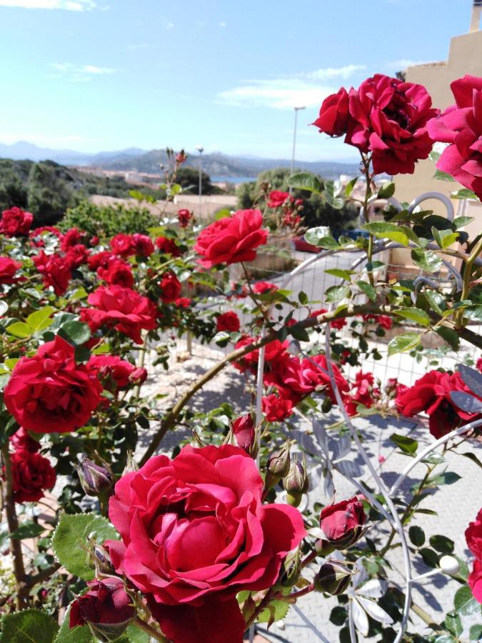 Bed and Breakfast The Roses Garden La Maddalena  Exteriér fotografie
