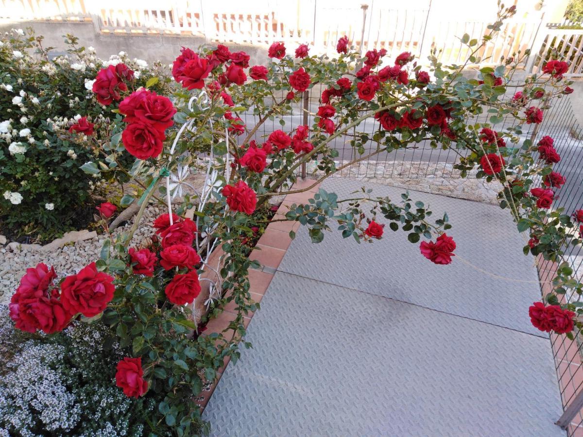 Bed and Breakfast The Roses Garden La Maddalena  Exteriér fotografie