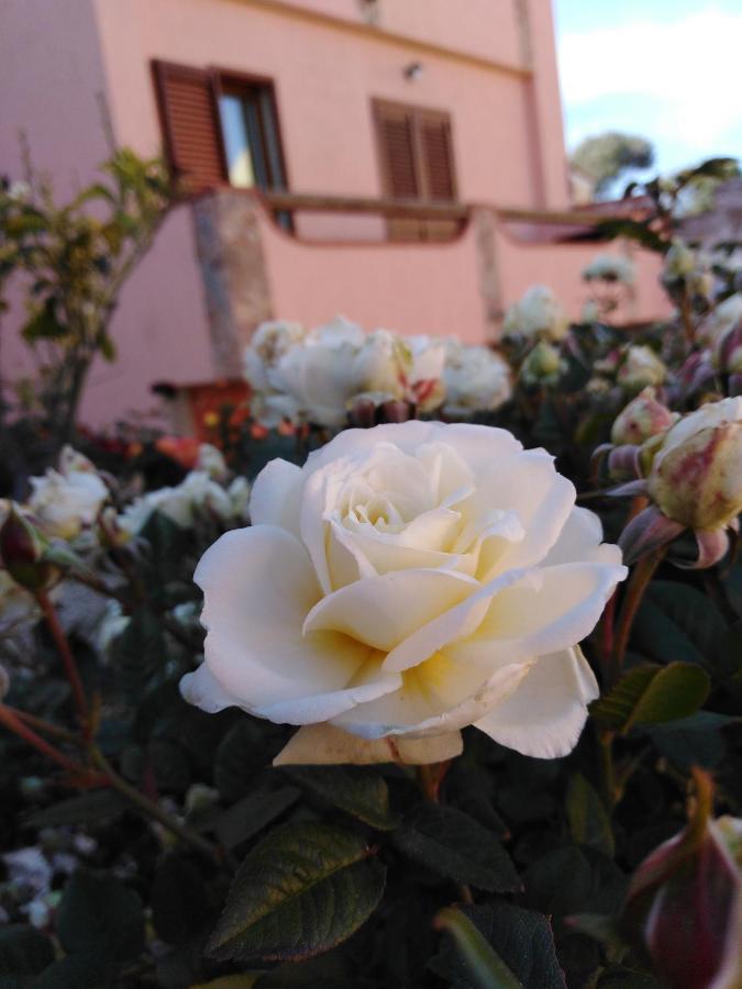 Bed and Breakfast The Roses Garden La Maddalena  Exteriér fotografie